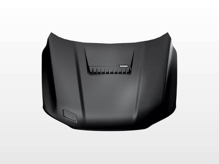 Carbon Fiber Hood Kit for LC300