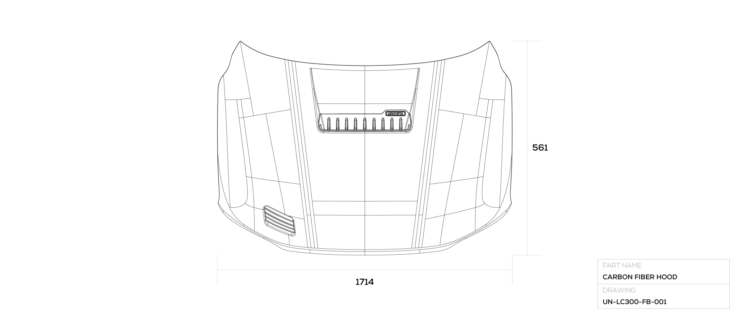 Carbon Fiber Hood Kit for LC300 technical drawing